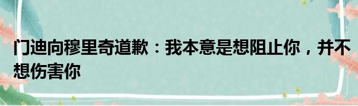 门迪向穆里奇道歉：我本意是想阻止你，并不想伤害你