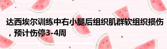 达西埃尔训练中右小腿后组织肌群软组织损伤，预计伤停3-4周