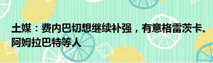土媒：费内巴切想继续补强，有意格雷茨卡、阿姆拉巴特等人