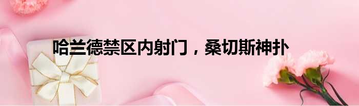 哈兰德禁区内射门，桑切斯神扑