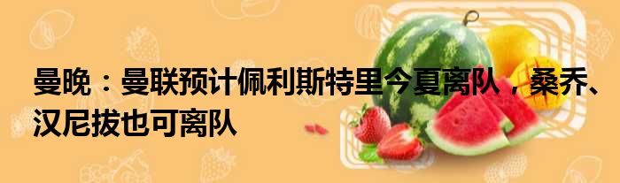 曼晚：曼联预计佩利斯特里今夏离队，桑乔、汉尼拔也可离队