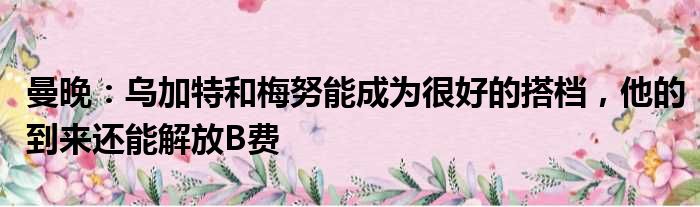 曼晚：乌加特和梅努能成为很好的搭档，他的到来还能解放B费