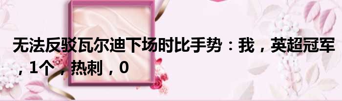 无法反驳瓦尔迪下场时比手势：我，英超冠军，1个，热刺，0