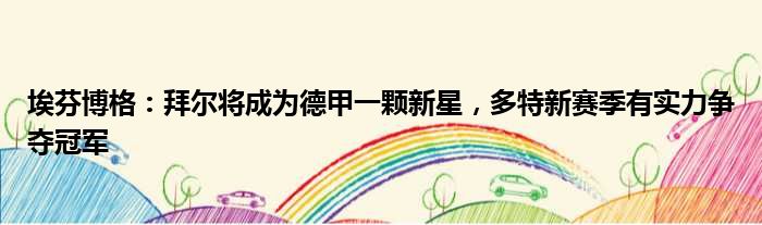 埃芬博格：拜尔将成为德甲一颗新星，多特新赛季有实力争夺冠军