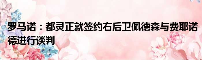 罗马诺：都灵正就签约右后卫佩德森与费耶诺德进行谈判