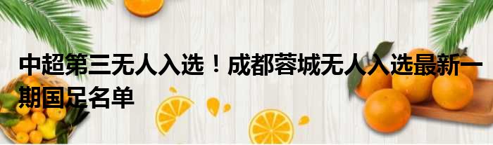中超第三无人入选！成都蓉城无人入选最新一期国足名单