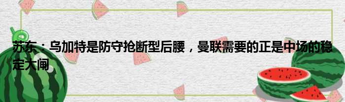 苏东：乌加特是防守抢断型后腰，曼联需要的正是中场的稳定大闸