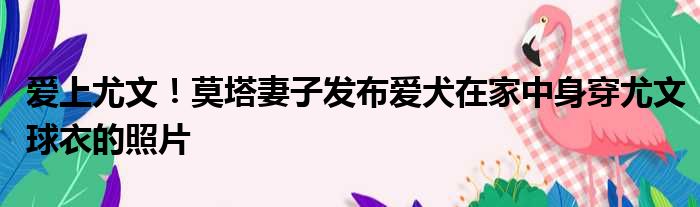 爱上尤文！莫塔妻子发布爱犬在家中身穿尤文球衣的照片