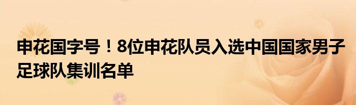 申花国字号！8位申花队员入选中国国家男子足球队集训名单
