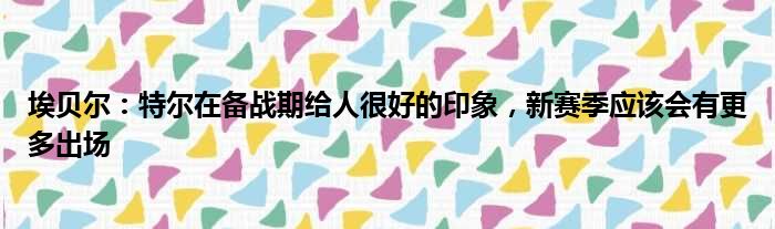 埃贝尔：特尔在备战期给人很好的印象，新赛季应该会有更多出场