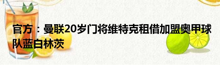 官方：曼联20岁门将维特克租借加盟奥甲球队蓝白林茨