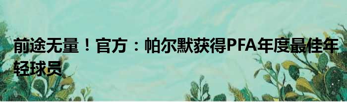 前途无量！官方：帕尔默获得PFA年度最佳年轻球员