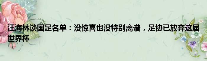 汪海林谈国足名单：没惊喜也没特别离谱，足协已放弃这届世界杯