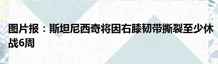 图片报：斯坦尼西奇将因右膝韧带撕裂至少休战6周