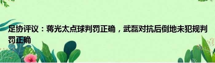 足协评议：蒋光太点球判罚正确，武磊对抗后倒地未犯规判罚正确