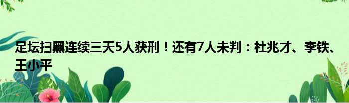 足坛扫黑连续三天5人获刑！还有7人未判：杜兆才、李铁、王小平