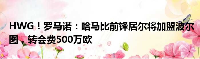 HWG！罗马诺：哈马比前锋居尔将加盟波尔图，转会费500万欧