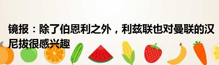 镜报：除了伯恩利之外，利兹联也对曼联的汉尼拔很感兴趣