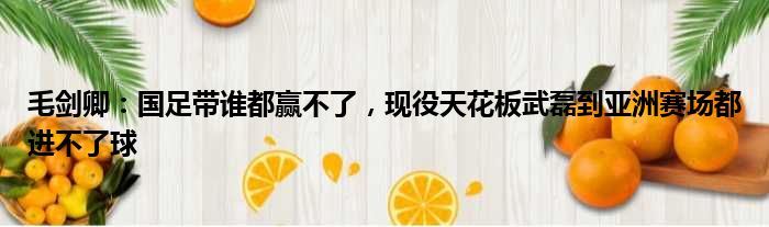 毛剑卿：国足带谁都赢不了，现役天花板武磊到亚洲赛场都进不了球