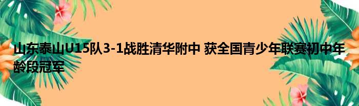 山东泰山U15队3-1战胜清华附中 获全国青少年联赛初中年龄段冠军