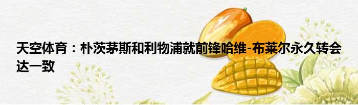 天空体育：朴茨茅斯和利物浦就前锋哈维-布莱尔永久转会达一致