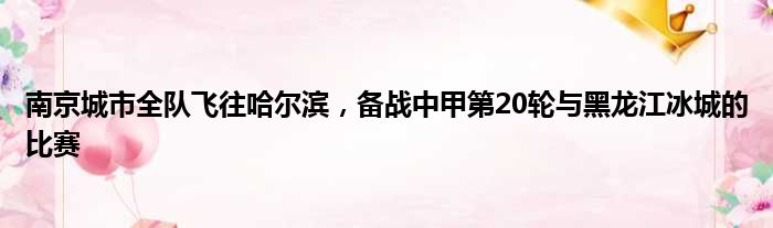南京城市全队飞往哈尔滨，备战中甲第20轮与黑龙江冰城的比赛