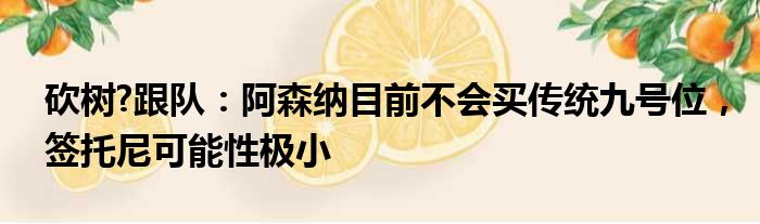 砍树?跟队：阿森纳目前不会买传统九号位，签托尼可能性极小