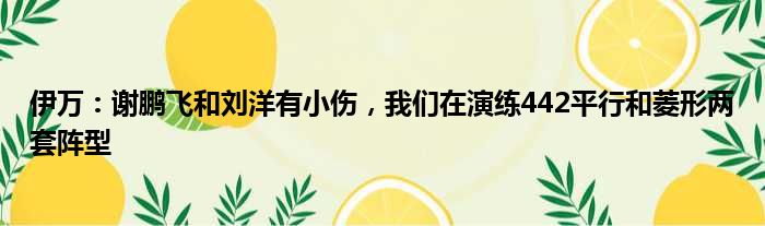 伊万：谢鹏飞和刘洋有小伤，我们在演练442平行和菱形两套阵型