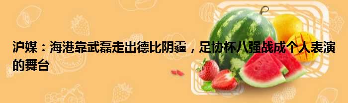 沪媒：海港靠武磊走出德比阴霾，足协杯八强战成个人表演的舞台
