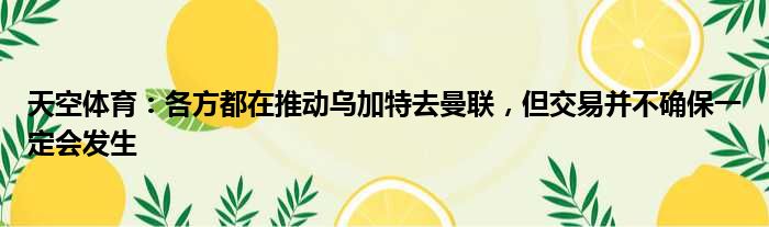 天空体育：各方都在推动乌加特去曼联，但交易并不确保一定会发生
