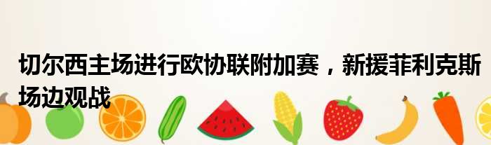 切尔西主场进行欧协联附加赛，新援菲利克斯场边观战