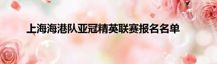 上海海港队亚冠精英联赛报名名单