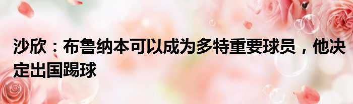沙欣：布鲁纳本可以成为多特重要球员，他决定出国踢球