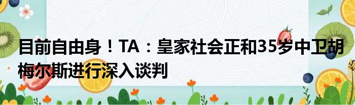 目前自由身！TA：皇家社会正和35岁中卫胡梅尔斯进行深入谈判
