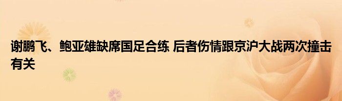 谢鹏飞、鲍亚雄缺席国足合练 后者伤情跟京沪大战两次撞击有关