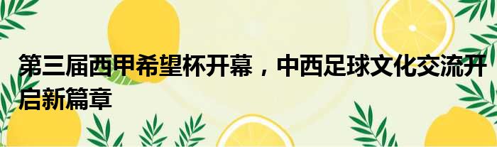 第三届西甲希望杯开幕，中西足球文化交流开启新篇章