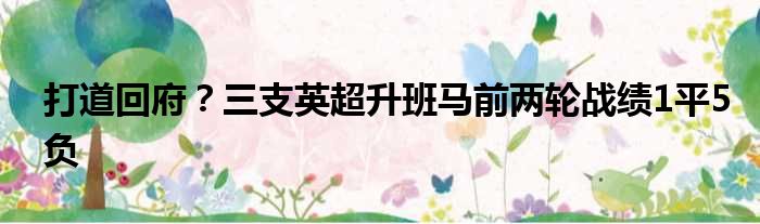 打道回府？三支英超升班马前两轮战绩1平5负