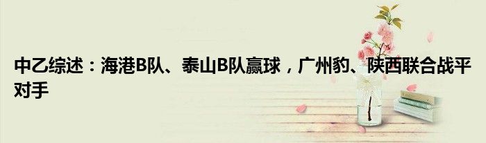中乙综述：海港B队、泰山B队赢球，广州豹、陕西联合战平对手
