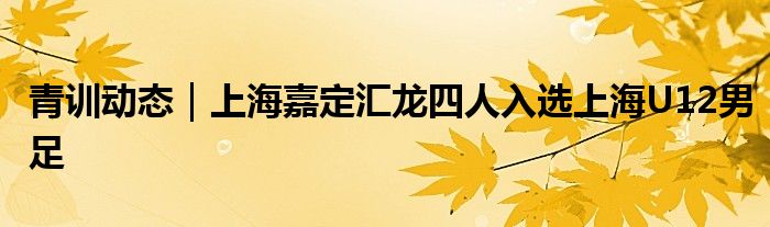 青训动态｜上海嘉定汇龙四人入选上海U12男足