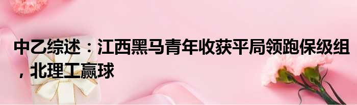 中乙综述：江西黑马青年收获平局领跑保级组，北理工赢球