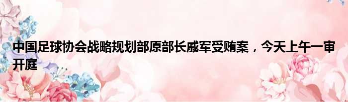 中国足球协会战略规划部原部长戚军受贿案，今天上午一审开庭
