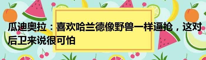 瓜迪奥拉：喜欢哈兰德像野兽一样逼抢，这对后卫来说很可怕