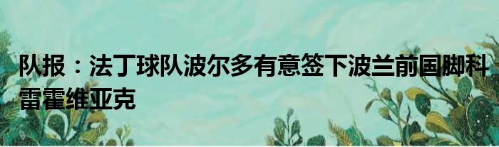 队报：法丁球队波尔多有意签下波兰前国脚科雷霍维亚克