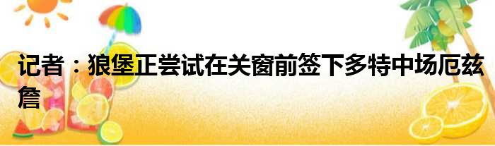 记者：狼堡正尝试在关窗前签下多特中场厄兹詹