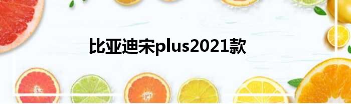 比亚迪宋plus2021款