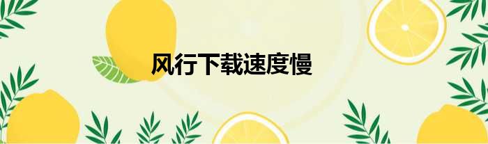 风行下载速度慢