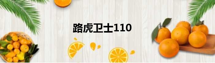 路虎卫士110