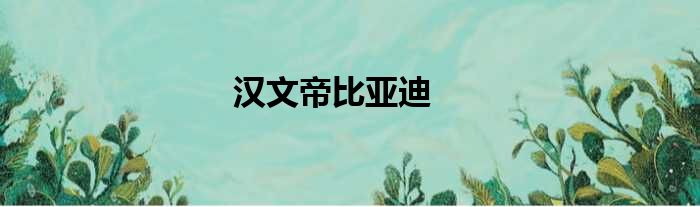 汉文帝比亚迪