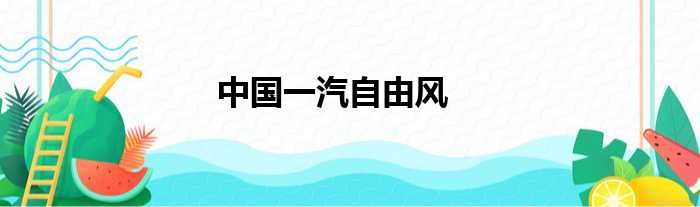 中国一汽自由风