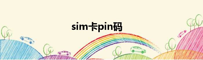 sim卡pin码